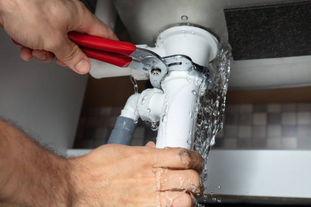 Best 24-hour water damage restoration  in Yalaha, FL