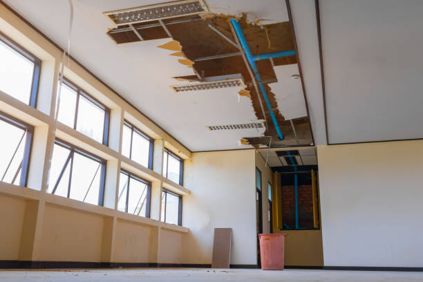 Best 24-hour water damage restoration  in Yalaha, FL