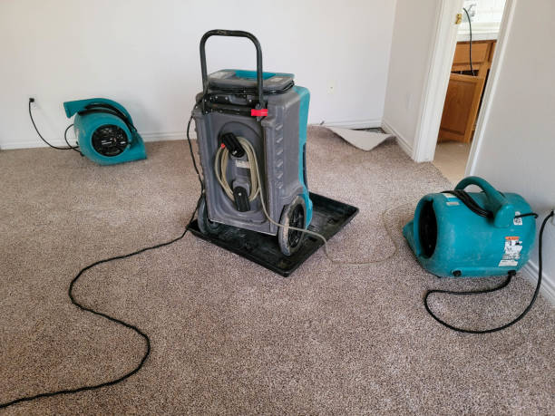 Yalaha, FL Water damage restoration Pros