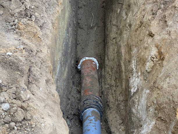 Local water damage restoration in Yalaha, FL
