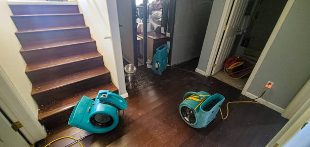 Best Flood damage cleanup  in Yalaha, FL
