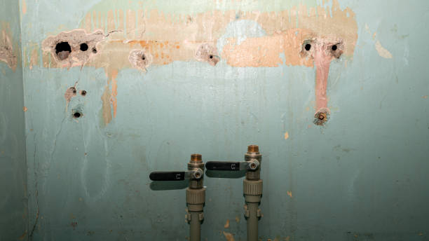 Best Water damage restoration near me  in Yalaha, FL
