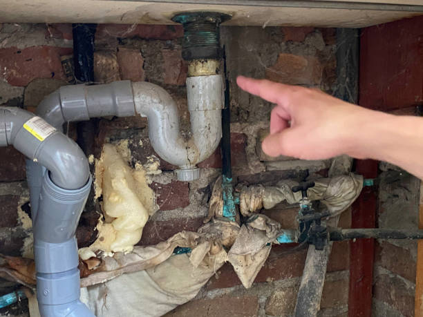 Best Ceiling water damage repair  in Yalaha, FL