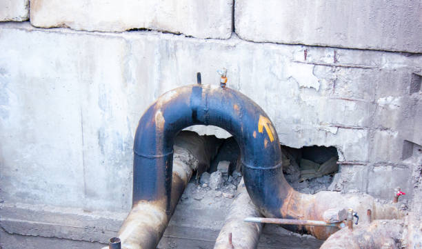 Best Commercial water damage restoration  in Yalaha, FL