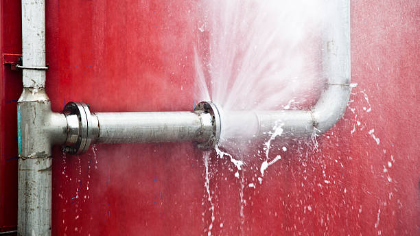 Best Local water damage restoration  in Yalaha, FL